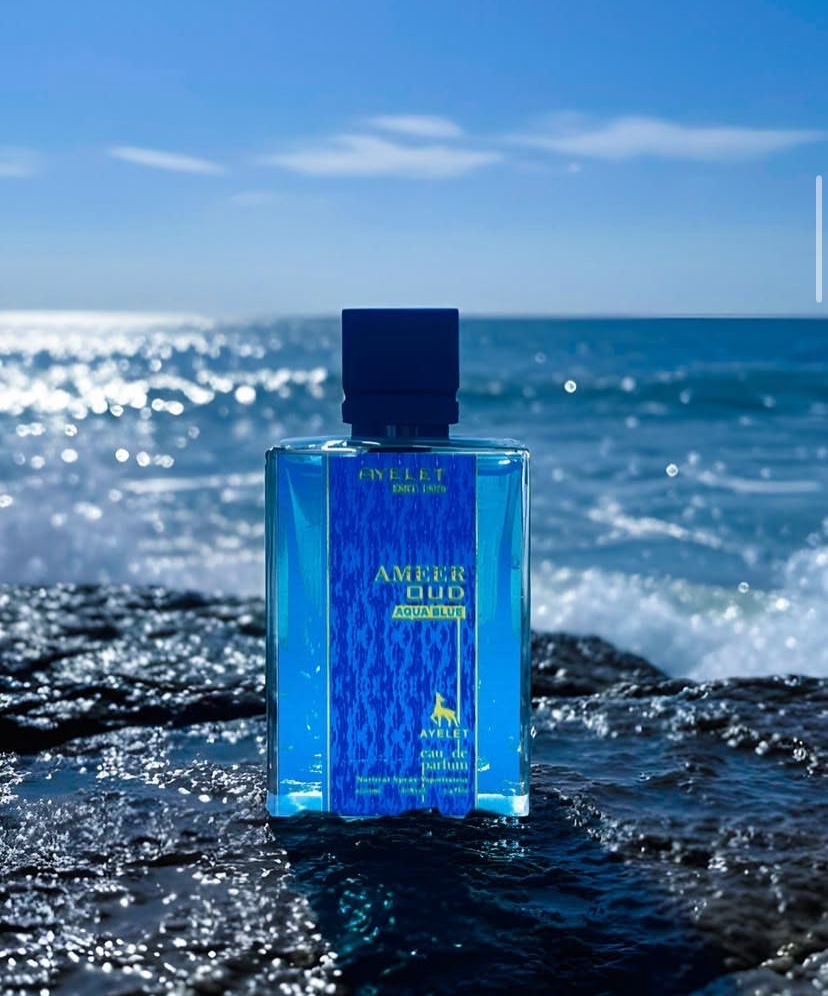 AMEER OUD serene night