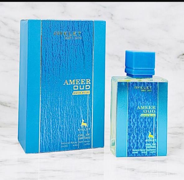 AMEER OUD serene night