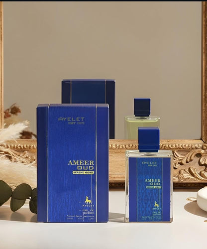 AMEER OUD serene night